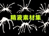 精液素材集
