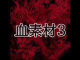 血素材3